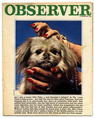 Observer Magazine 25 February 1968 Bobby Kennedy by Margaret Laing Fashion Liz Smith
