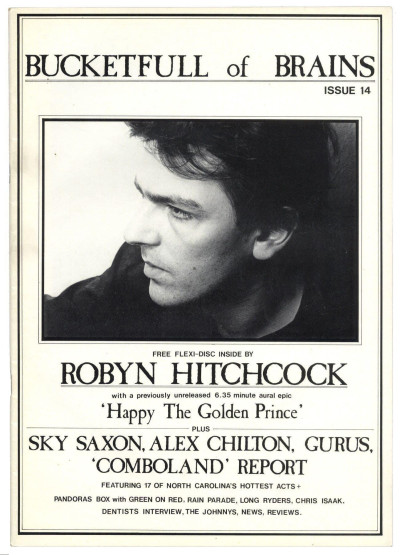 Bucketfull of Brains Magazine No 14 + Robyn Hitchcock flexi  Sky Saxon Rain Parade Alex Chilton