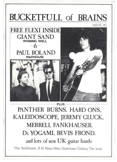 Bucketfull of Brains Magazine No 20 + Giant Sand/Paul Roland flexi Merrell Fankhauser Bevid Frond