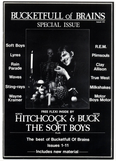 Bucketfull of Brains Magazine No 23 + Robyn Hitchcock/Soft Boys flexi  REM Wayne Kramer Sting Rays