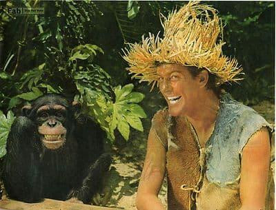 DICK VAN DYKE approx 10X13 inch pinup poster size press cutting/clipping 1966 Original