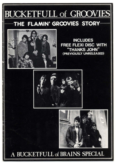 Bucketfull of Brains Magazine/Fanzine Special issue-Bucketfull of Groovies + Flexi Disc-The Flamin